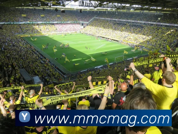 多媒体互动体验